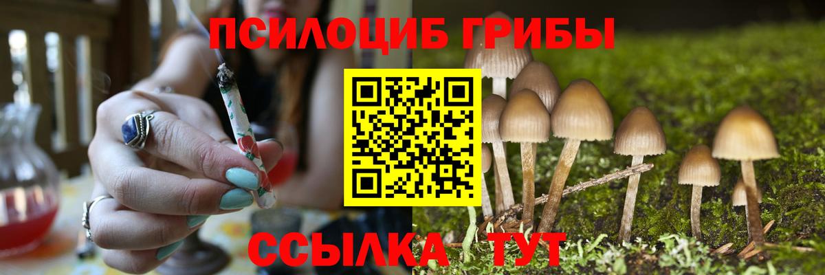 Псилоцибиновые грибы мухоморы  Галлюциногенные грибы мухоморы  Вход с VPN  Оренбург 