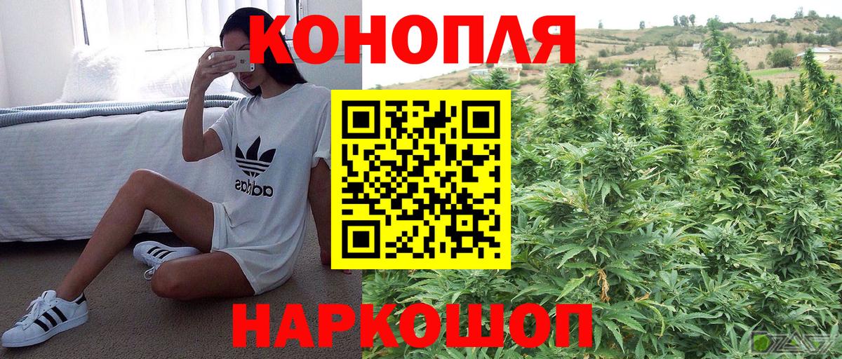 Бошки Шишки тримм  МАРИХУАНА AK-47  МАРИХУАНА SATIVA & INDICA  Канабис AK-47  Оренбург  Вход с VPN 
